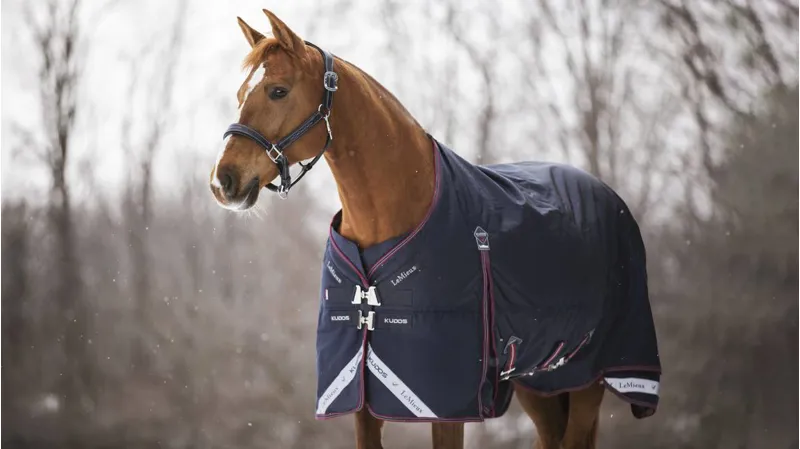 LeMieux Kudos Turnout Rug 350g in Navy-1